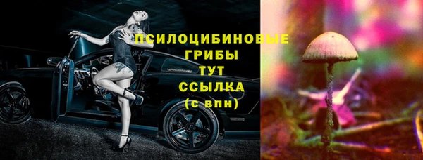 хмурый Богородск