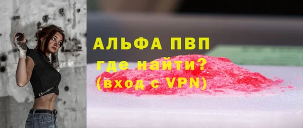 PSILOCYBIN Богданович