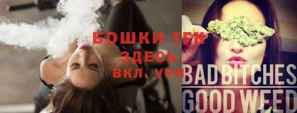 PSILOCYBIN Богданович