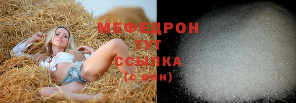 PSILOCYBIN Богданович