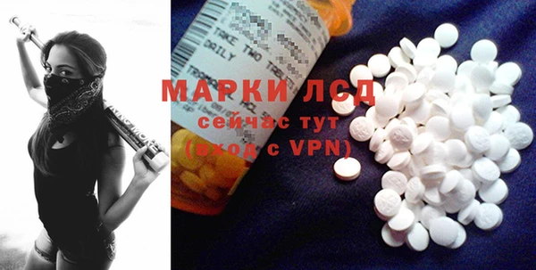 PSILOCYBIN Богданович