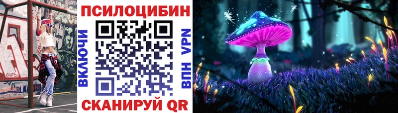 Псилоцибиновые грибы Psilocybe  Нарткала 